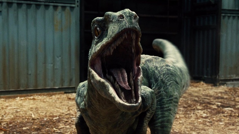 Blue the raptor roaring in her pen in Jurassic World